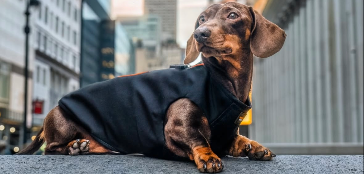 Mentoring creative small businesses 