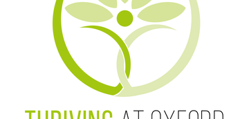 Designed/led Oxford University's inaugural staff wellbeing programme.