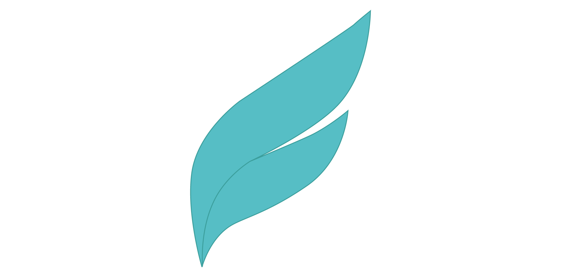 Strategic Finance Leadership