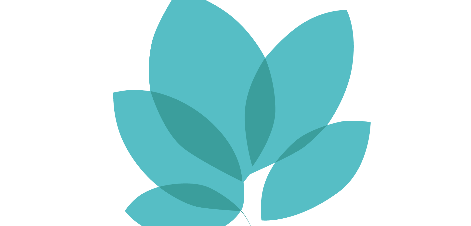 Operational Finance & Systems