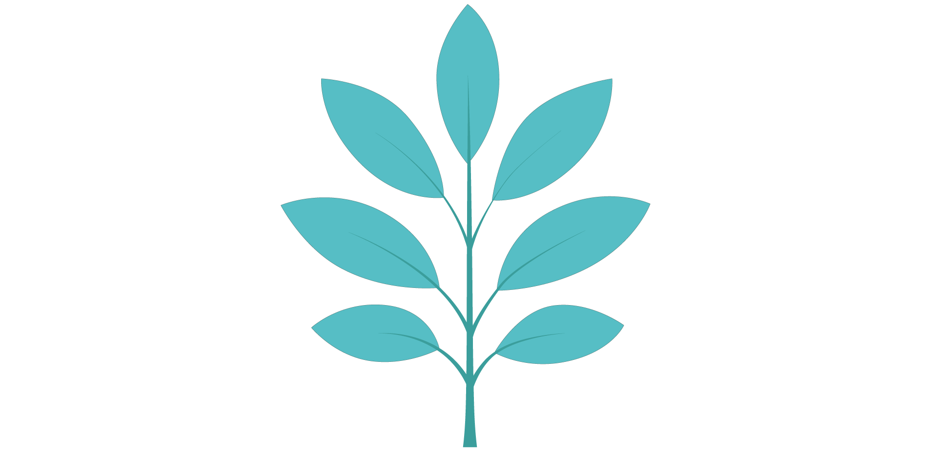 Non-Executive Director (NED) Services